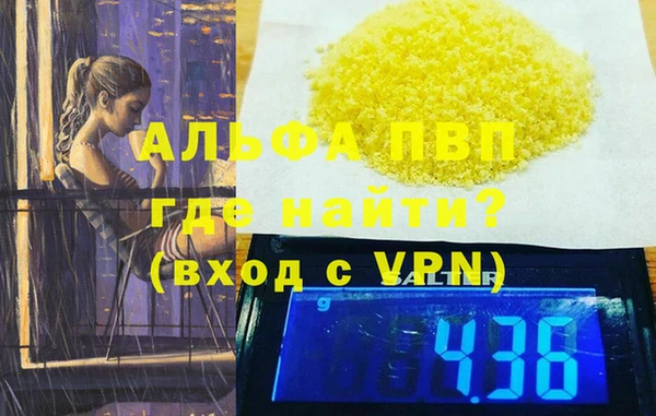 стаф Новый Уренгой