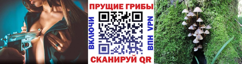Галлюциногенные грибы Cubensis  Дубовка 